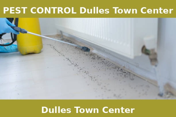 PEST CONTROL Dulles Town Center